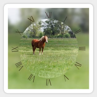 Lonely sorrel horse on green pasture Sticker